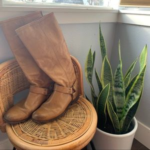 Tan Frye Riding Boots